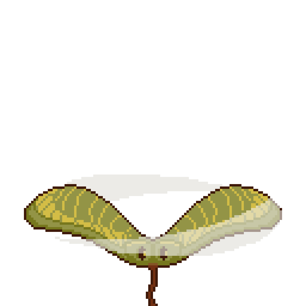 Wind Tunnel Animation